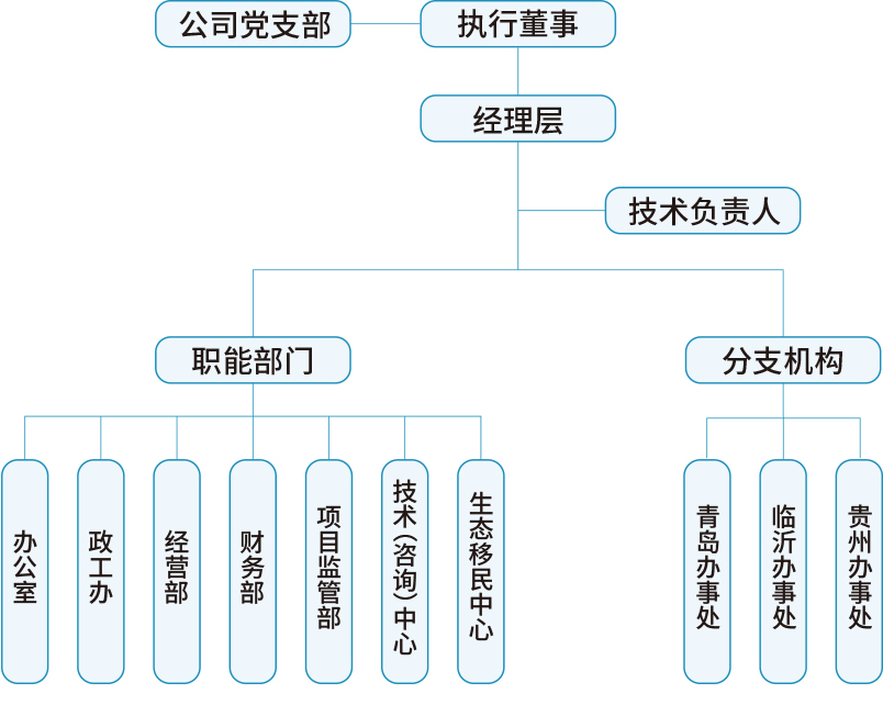 2 监理公司 关于我们 组织机构 配图.jpg