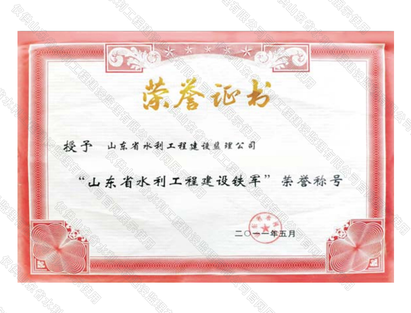山东省水利工程建设铁军 荣誉称号